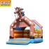 Indoor Jumping Castle