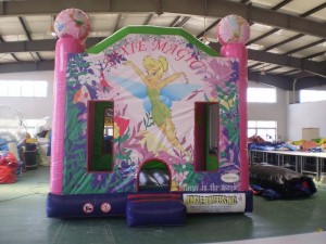 How much does it cost to start an inflatable business?