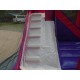 Disney Princess Combo Bounce House Disney Princess Combo Bounce House