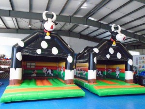 How to Plan a Party with an Inflatable Castle?