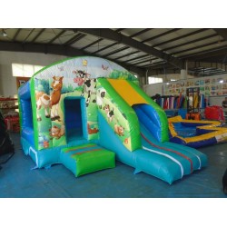 Farm Jumping Castle Slide
